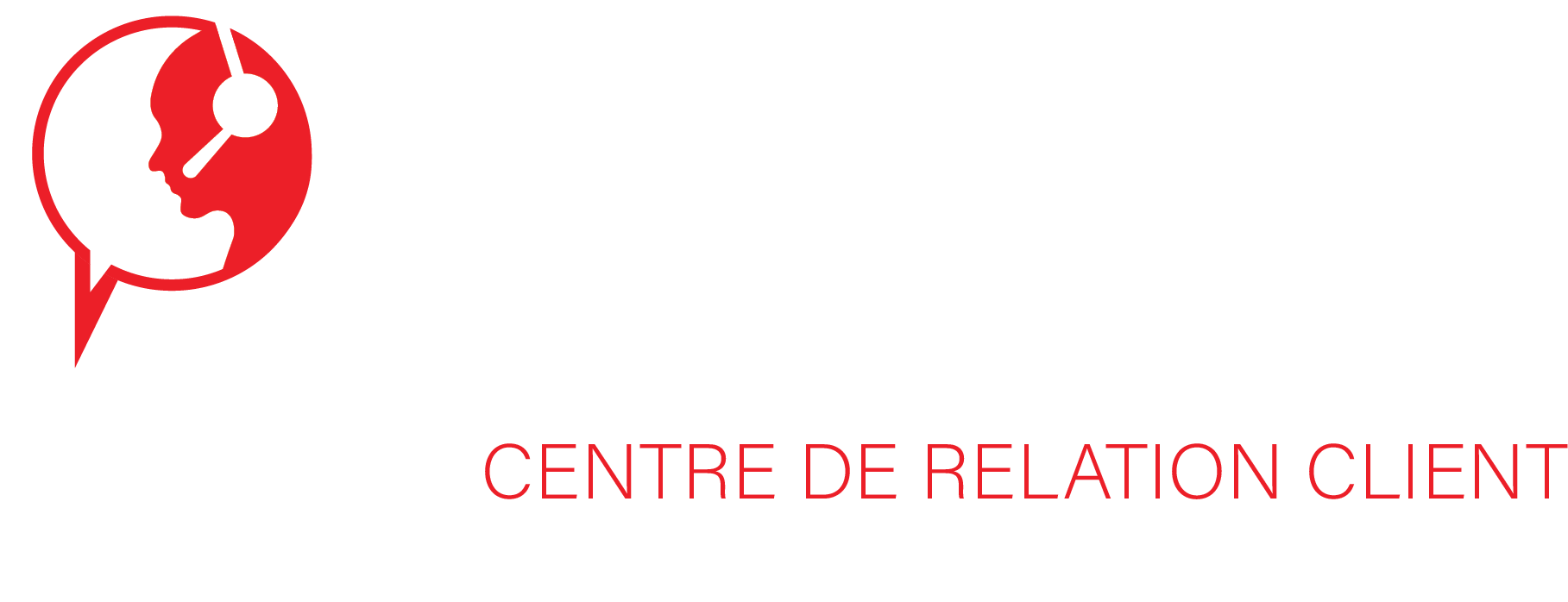 KIM LINE DATA Logo